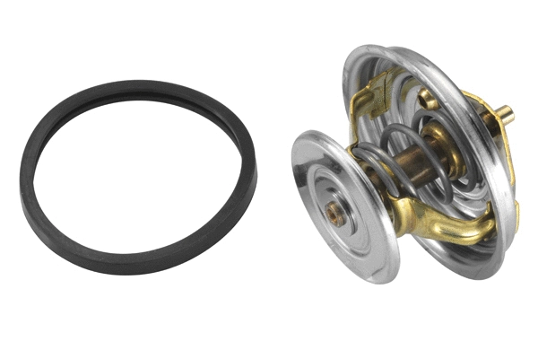 Termostatas BorgWarner (Wahler) 4158.80D
