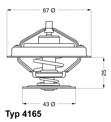 Termostatas BorgWarner (Wahler) 4165.79D