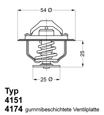 Termostatas BorgWarner (Wahler) 4174.82D