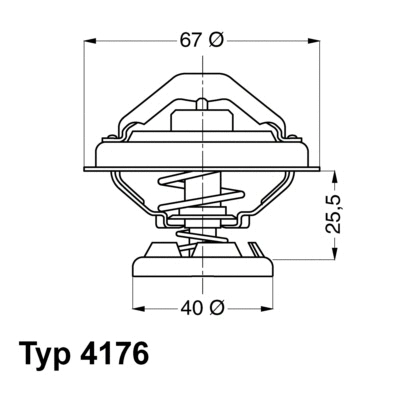 Termostatas BorgWarner (Wahler) 4176.85D