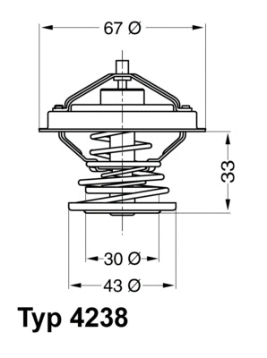 Termostatas BorgWarner (Wahler) 4238.92D