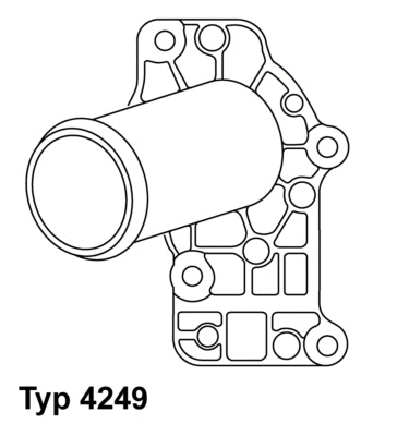 Termostatas BorgWarner (Wahler) 4249.83D