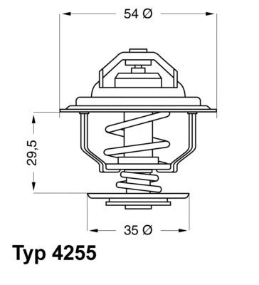 Termostatas BorgWarner (Wahler) 4255.87D