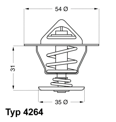 Termostatas BorgWarner (Wahler) 4264.84D