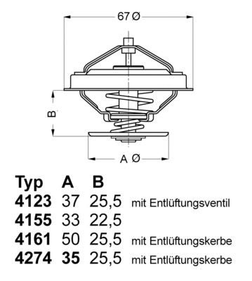 Termostatas BorgWarner (Wahler) 4274.92D