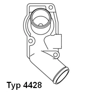 Termostatas BorgWarner (Wahler) 4428.92D