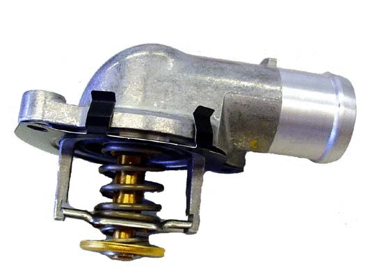 Termostatas BorgWarner (Wahler) 4430.87D