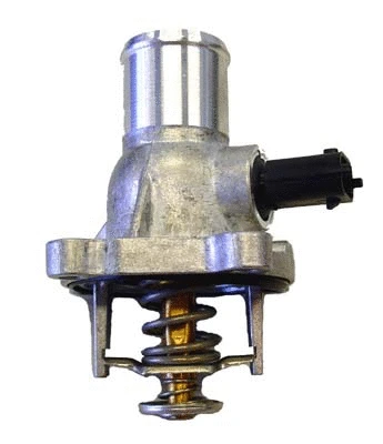 Termostatas BorgWarner (Wahler) 4431.105D