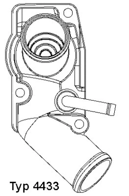 Termostatas BorgWarner (Wahler) 4433.92D
