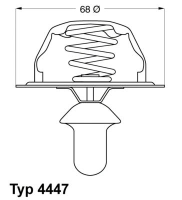 Termostatas BorgWarner (Wahler) 4447.85D