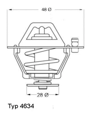 Termostatas BorgWarner (Wahler) 4634.76