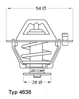 Termostatas BorgWarner (Wahler) 4638.82D