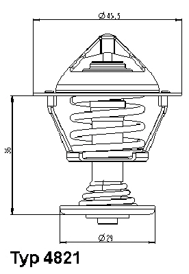 Termostatas BorgWarner (Wahler) 4821.89D