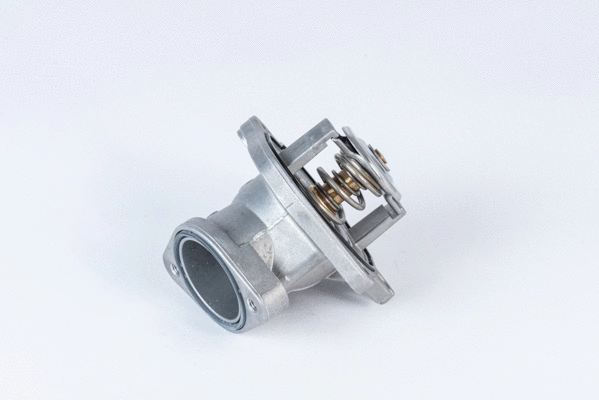 Termostatas BorgWarner (Wahler) 4832.87D