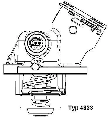 Termostatas BorgWarner (Wahler) 4833.100D