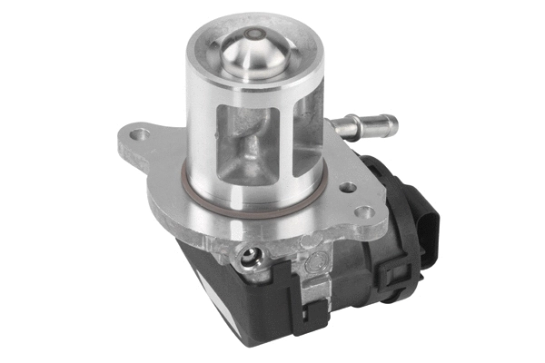 ERG vožtuvas BorgWarner (Wahler) 710095D