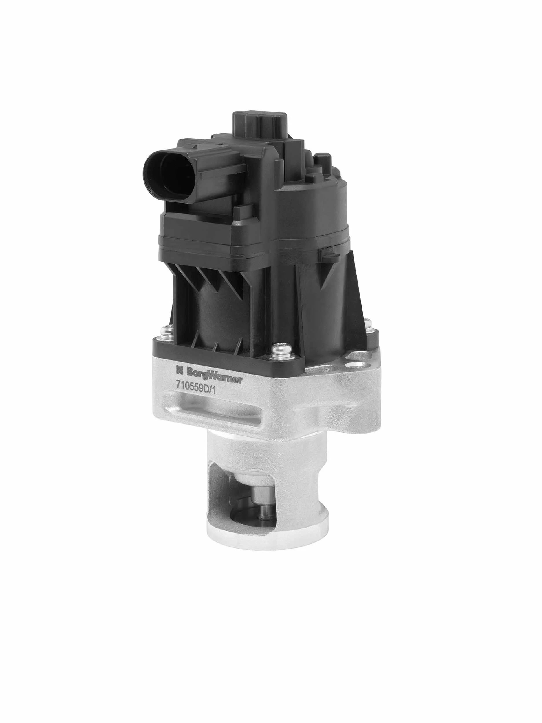 ERG vožtuvas BorgWarner (Wahler) 710559D