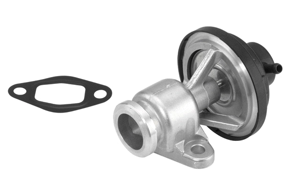 ERG vožtuvas BorgWarner (Wahler) 710570D