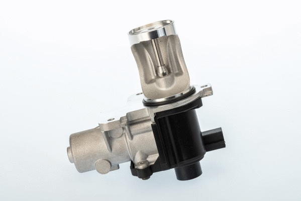 ERG vožtuvas BorgWarner (Wahler) 710571D