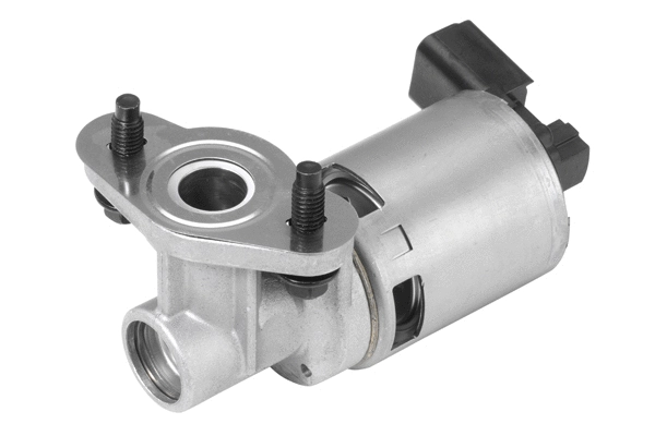 ERG vožtuvas BorgWarner (Wahler) 710634D
