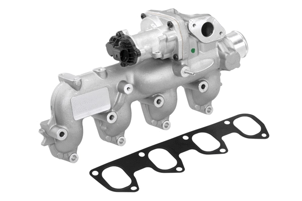 ERG vožtuvas BorgWarner (Wahler) 710665D