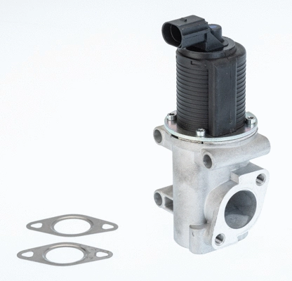 ERG vožtuvas BorgWarner (Wahler) 710774D/1