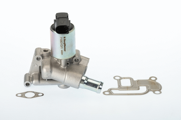 ERG vožtuvas BorgWarner (Wahler) 710831D/1