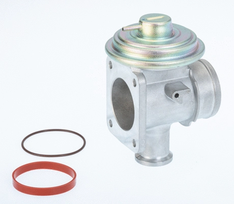 ERG vožtuvas BorgWarner (Wahler) 710921D/1