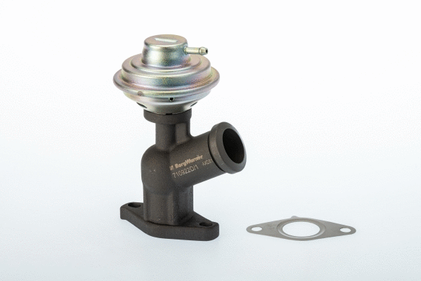 ERG vožtuvas BorgWarner (Wahler) 710922D/1