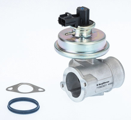 ERG vožtuvas BorgWarner (Wahler) 710923D/1