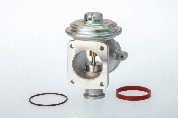 ERG vožtuvas BorgWarner (Wahler) 710924D/1