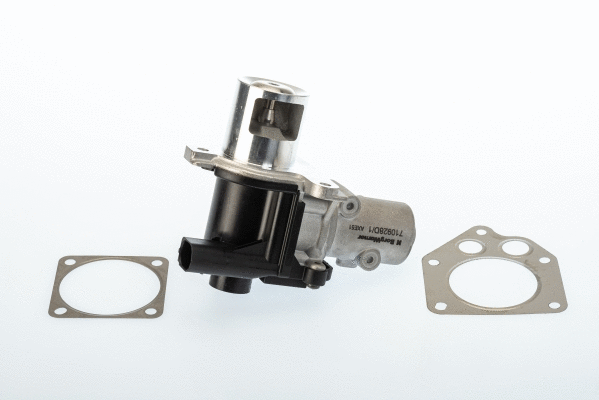 ERG vožtuvas BorgWarner (Wahler) 710928D/1