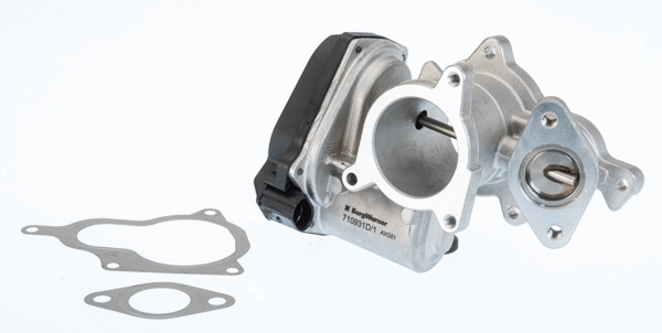 ERG vožtuvas BorgWarner (Wahler) 710931D/1