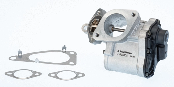 ERG vožtuvas BorgWarner (Wahler) 710938D/1