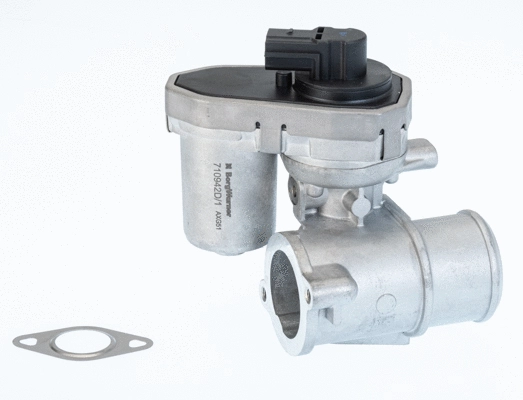ERG vožtuvas BorgWarner (Wahler) 710942D/1