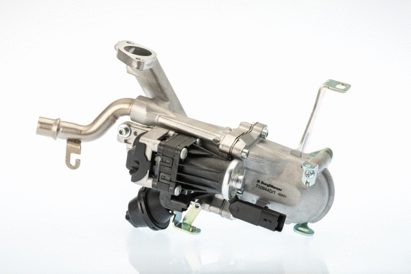 ERG vožtuvas BorgWarner (Wahler) 710944D/1