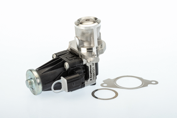 ERG vožtuvas BorgWarner (Wahler) 710947D/1