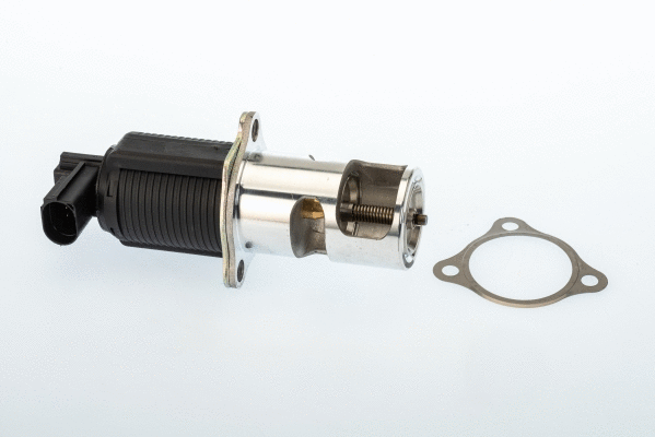 ERG vožtuvas BorgWarner (Wahler) 710950D/1