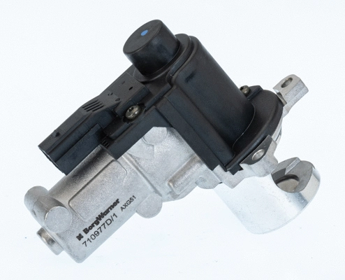 ERG vožtuvas BorgWarner (Wahler) 710977D/1