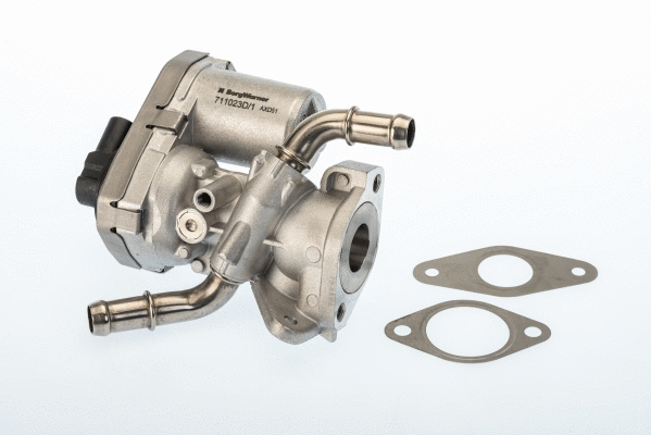 ERG vožtuvas BorgWarner (Wahler) 711023D/1