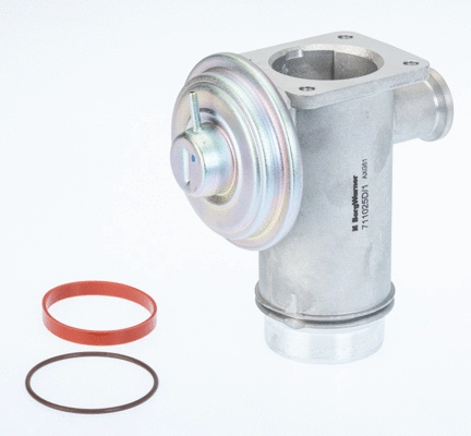 ERG vožtuvas BorgWarner (Wahler) 711025D/1