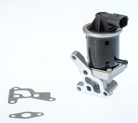 ERG vožtuvas BorgWarner (Wahler) 711028D/1