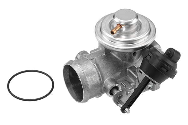 ERG vožtuvas BorgWarner (Wahler) 7223D
