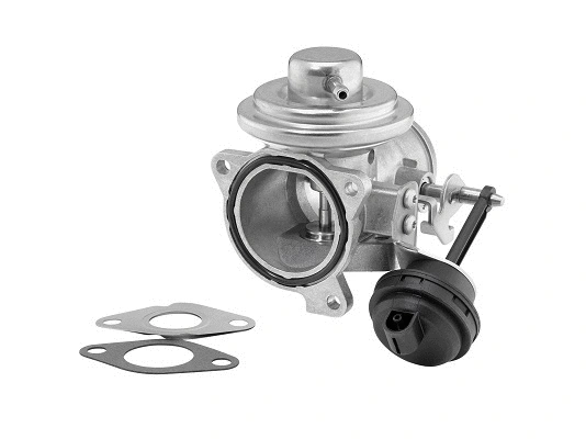 ERG vožtuvas BorgWarner (Wahler) 7293D/1