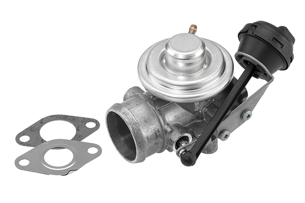 ERG vožtuvas BorgWarner (Wahler) 7301D