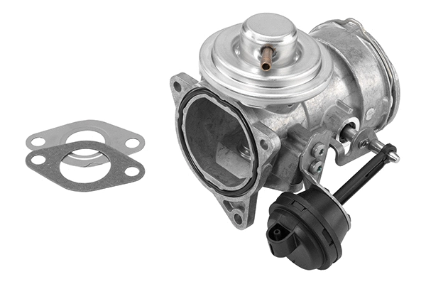 ERG vožtuvas BorgWarner (Wahler) 7327D/1