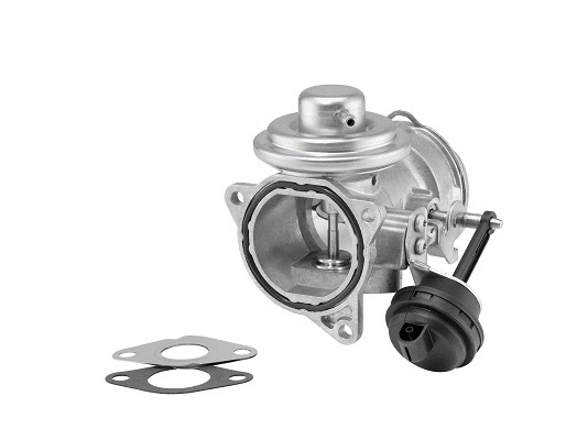 ERG vožtuvas BorgWarner (Wahler) 7371D