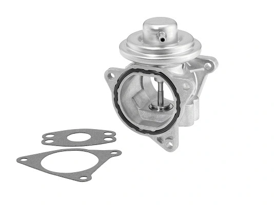 ERG vožtuvas BorgWarner (Wahler) 7496D