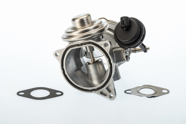 ERG vožtuvas BorgWarner (Wahler) 7650D/1