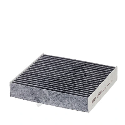Salono filtras HENGST FILTER E1928LC